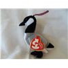 Image 1 : TY JINGLE BEANIES "LOOSY" PLUSH