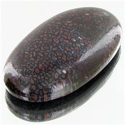 55ct Dinosaur Bone Cabochon (GEM-35315)