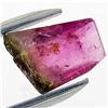 Image 1 : 2.33ct Scarce Bi-Color Tourmaline  (GEM-26673)