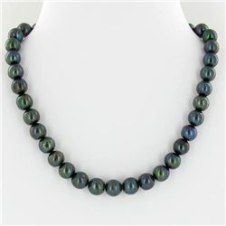 Scarce Black Saltwater Pearl Necklace (JEW-250G)