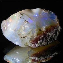 15.9ct Etheopian Opal Rough (GEM-45311)