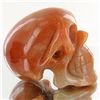 Image 2 : 1320ct Hand Carved Agate Skull (MIN-001715)