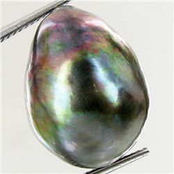 24.38ct Tahitian Baroque Pearl (GEM-45819)