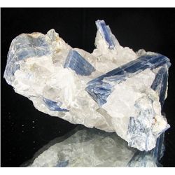 580ct Kyanite Crystal Cluster (MIN-002211)