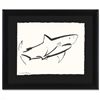 Image 1 : Shark