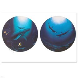 Innocent Age/Dolphin Serenity