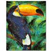Image 1 : Toucan