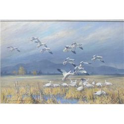 Original oil painting on canvas signed lower  left Harry Curieux Adamson entitled on  reverse “The W