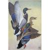 Original oil on canvas signed lower right  Lynn Bogue Hunt entitled “Mallards Rising”.  The painting