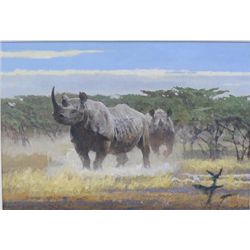 Original oil painting on board showing black  rhino in African landscape signed lower right  Kuhn 84