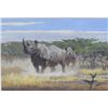Original oil painting on board showing black  rhino in African landscape signed lower right  Kuhn 84