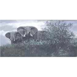 Original oil painting on board signed lower  right Guy Coheleach. Title on back “Big  Bulls” and por