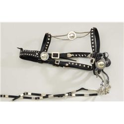 Fancy parade style bit, headstall and reins  mounted with fancy engraved conchos and  ornaments that