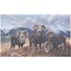 Oil painting on canvas showing big horn sheep  on high mountains signed lower right T.  Beecham. Mea