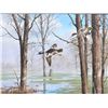 Original oil painting on artist board signed  lower right “Maass”. David Maass has been a  wildlife 