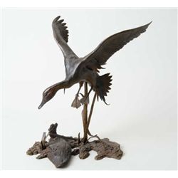 Original bronze signed of landing duck  spotting decoy signed Doug Van Howd numbered  1 of 24. Doug 