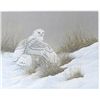 Image 1 : Limited edition lithograph of Snow Owl by  David Chapple numbered 129 of 950 and signed.  Approximat
