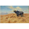 Image 1 : Important original oil painting signed by  Wilh. Kuhnert showing Cape Buffalo. Measuring  approx. 48