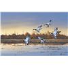 Image 1 : Original oil painting on canvas showing  landing ducks signed lower right Crowe.  Approximately 25”x