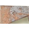 Image 4 : Old hand-forged iron axe head with hallmark  stamps on both sides of blade, one a diamond  shape, th