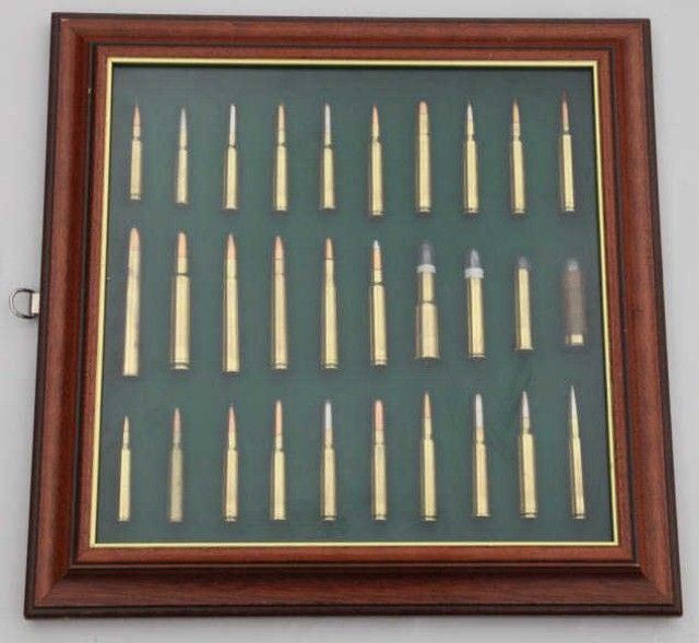 Custom made cartridge display board showing modern rifle cartridges ...