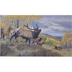 Oil painting on canvas showing old bull elk  bugling and younger elk readying his horns  for a fight