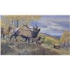 Oil painting on canvas showing old bull elk  bugling and younger elk readying his horns  for a fight
