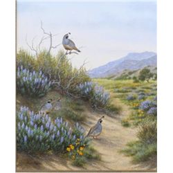 Original oil on canvas portraying quail  signed Dave Chapple lower left measuring  approximately 23-
