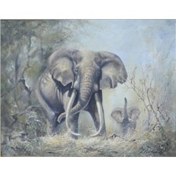 Original oil painting on canvas showing two  (2) elephants in jungle signed lower right D.  Van Howd