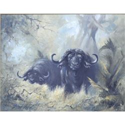 Original oil painting on canvas signed lower  left Doug Van Howd portraying two (2) Cape  buffalo in