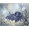Image 1 : Original oil painting on canvas signed lower  left Doug Van Howd portraying two (2) Cape  buffalo in