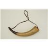 Image 2 : Large powder horn of American style measuring  approx 14” and 3-1/8” across plug in butt.   Good con