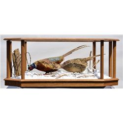 Glass incased stuffed pheasants made to use  as coffee table in gun room or hunting lodge.  The moun