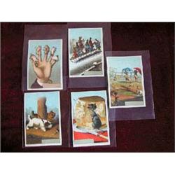 (5) Pieces-Blank Sunshine Publishing Co. Victorian Trading (Advertising) Cards-chromatic animal lith