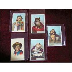 (5) Pieces-Sunshine Publishing Co. Blank Victorian Trading (Advertising) Cards. Full Color Lithos-Cu