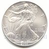 Image 1 : Uncirculated Silver Eagle 2007