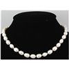 Image 1 : 161.62 ctw Roval White Freshwater Pearl Necklace