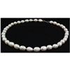 Image 2 : 161.62 ctw Roval White Freshwater Pearl Necklace