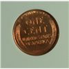 Image 3 : 1913-S LINCOLN ONE CENT NTC MS65 RED, LOOKS 64 TO US, BUT STILL A NICE COIN
