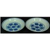 Image 1 : A PAIR OF 18th CENTURY CHINESE BLUE & WHITE BOWLS