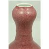 Image 3 : 19th C CHINESE PINK GLAZE FLORAL PORCELAIN VASE