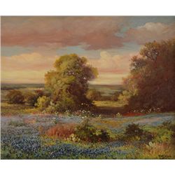 Robert Wood - Texas Hill Country Bluebonnets