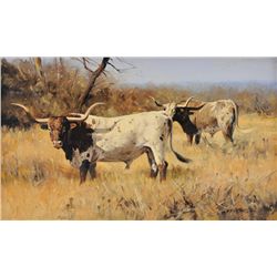 Ken Carlson - Longhorns