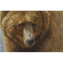 Robert Bateman - Grizzly Head Portrait