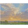 Image 1 : Michael Albrechtsen - Hill Country Spring