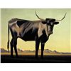Image 1 : Ed Mell - Ajo Steer