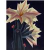 Image 1 : Ed Mell - Two Blooms