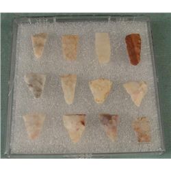 12 Small Indian Bird Point Arrowheads Set in Case
