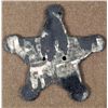 Image 2 : CIVIL WAR C.S.A. VETERANS IRON STAR PLAQUE