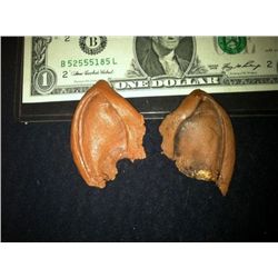 STAR TREK SCREEN USED VOYAGER PILOT & MAKE UP TEST TUVOK EARS ORIGINAL HAND SIGNED LOA & VIDEO